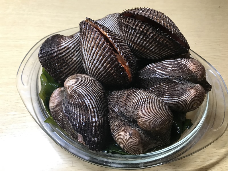 あか貝